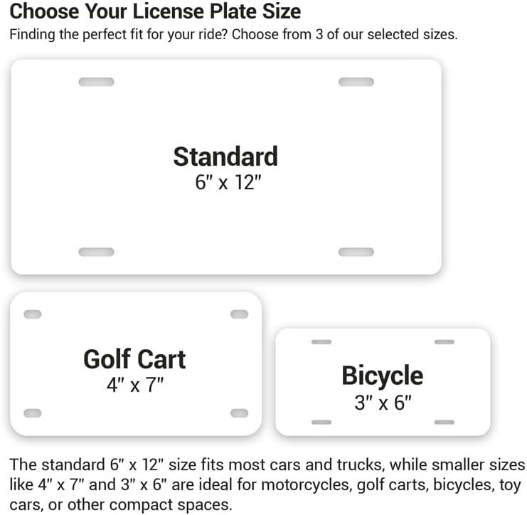 Unique Vanity License Plates | 16 Individual Designs | 3 Sizes (Automobile, Golf Cart, Motorcycle/Bike) | Made in U.S.A. | Custom Car Tags (Passenger Princess, Golf Cart (7" x 4"))