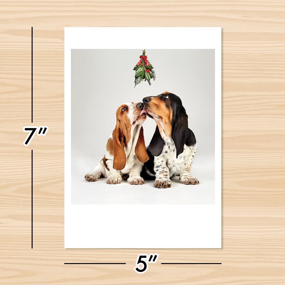 Photographic Christmas Cards, Basset Hounds Under The Mistletoe (6 Cards with White Envelopes) – Perfect for Special Someone