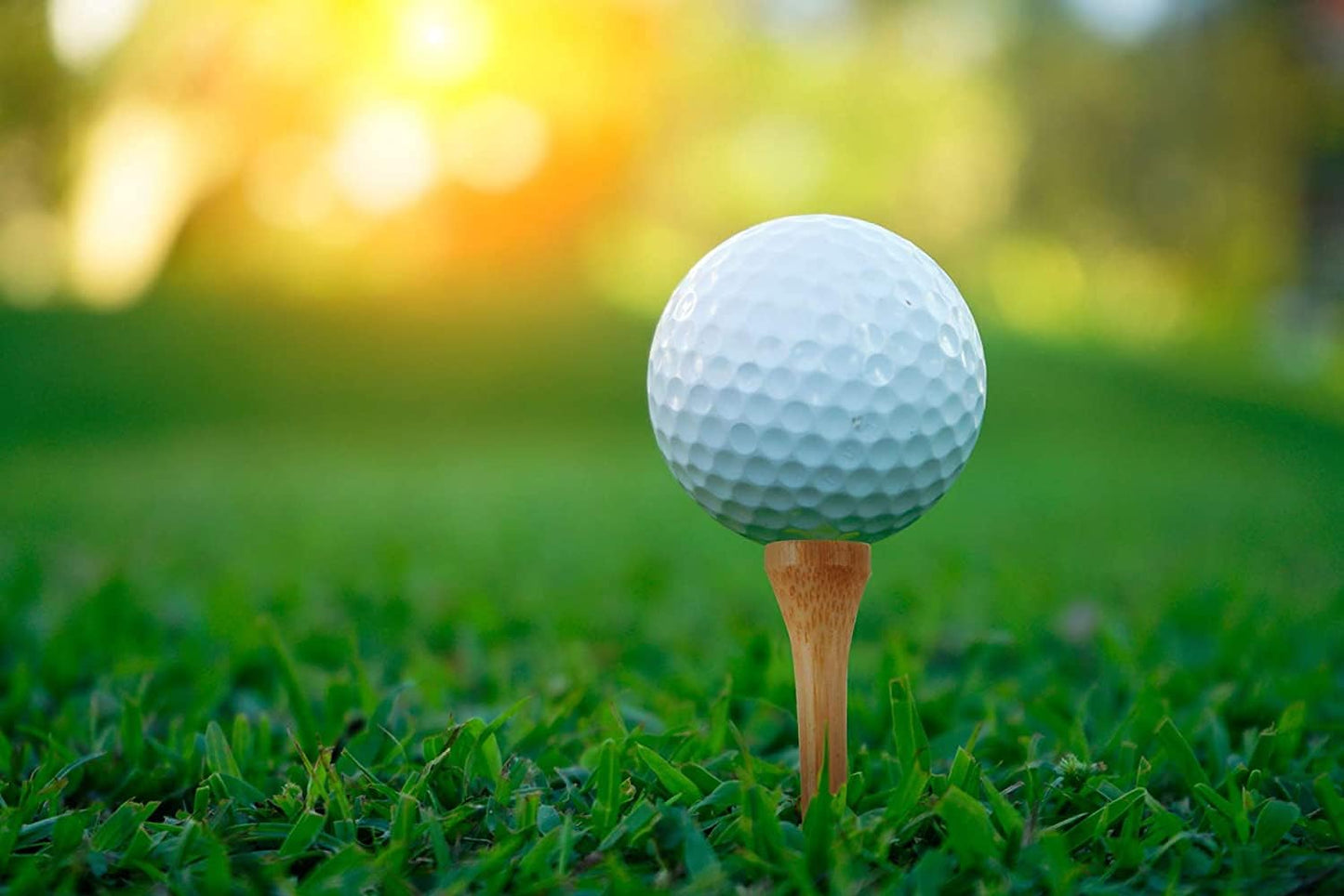 Professional Wooden Golf Tees 2 3/4 inch Tee Pack of 100 Golf Tee