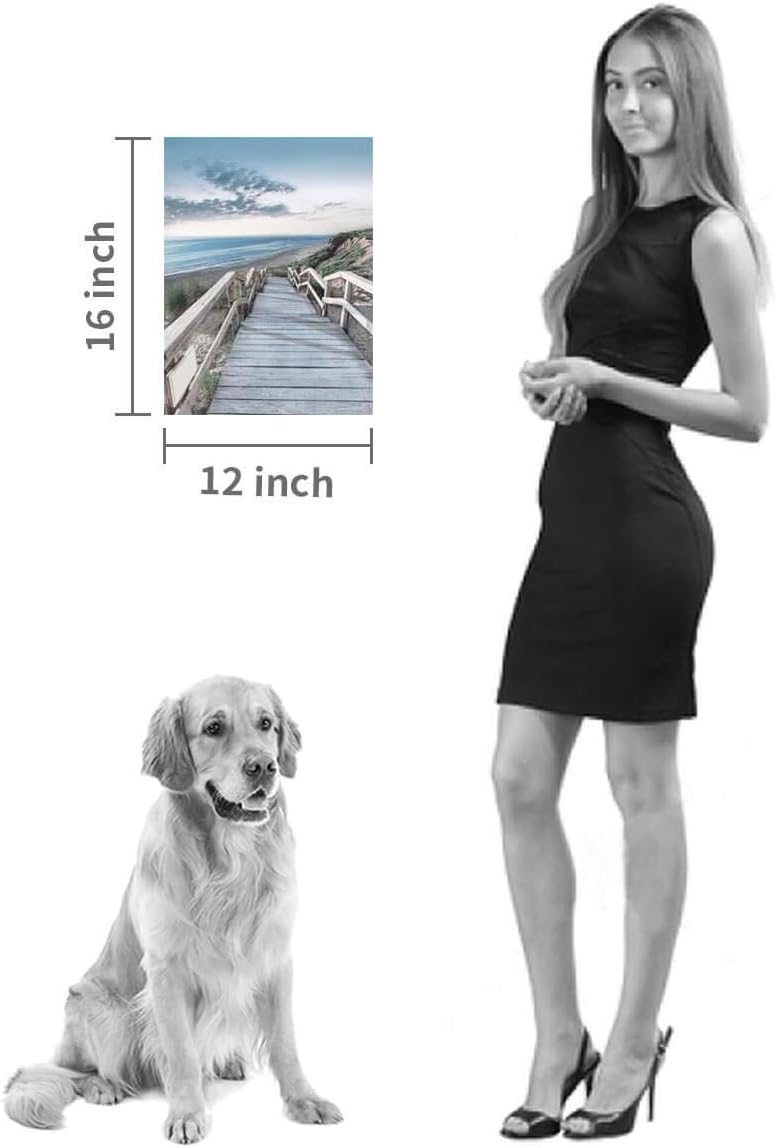 Beachside Wooden Path Wall Art: Bridge Boardwalk Stair Graphic Art on Wrapped Canvas for Wall Decor (12''x16'')