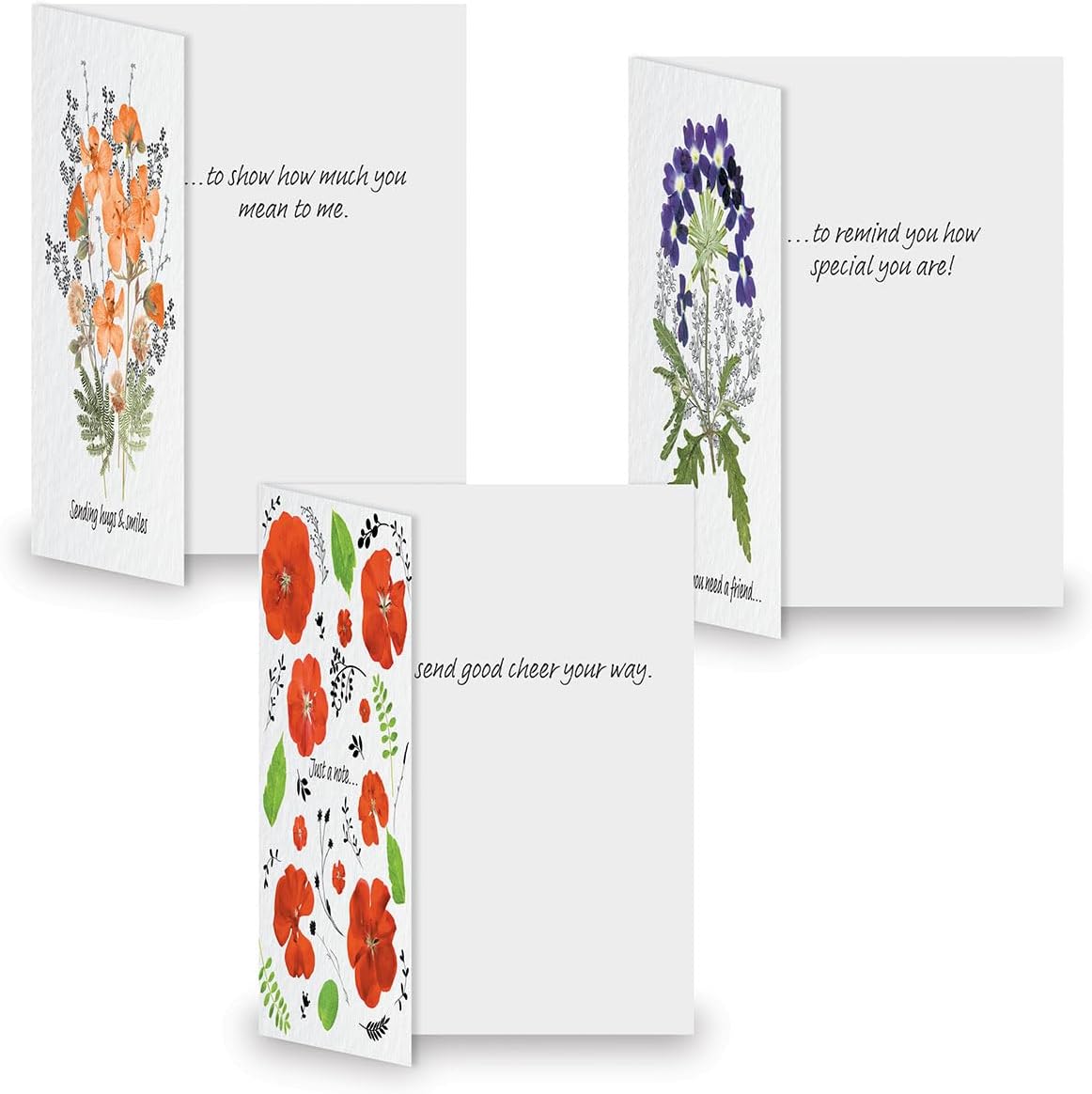 Current Pressed Flowers Thinking of You Friendship Greeting Card Set - Value Pack of 20 Cards With White Envelopes for Friends & Family, 10 Designs, Large 5" x 7" Assortment