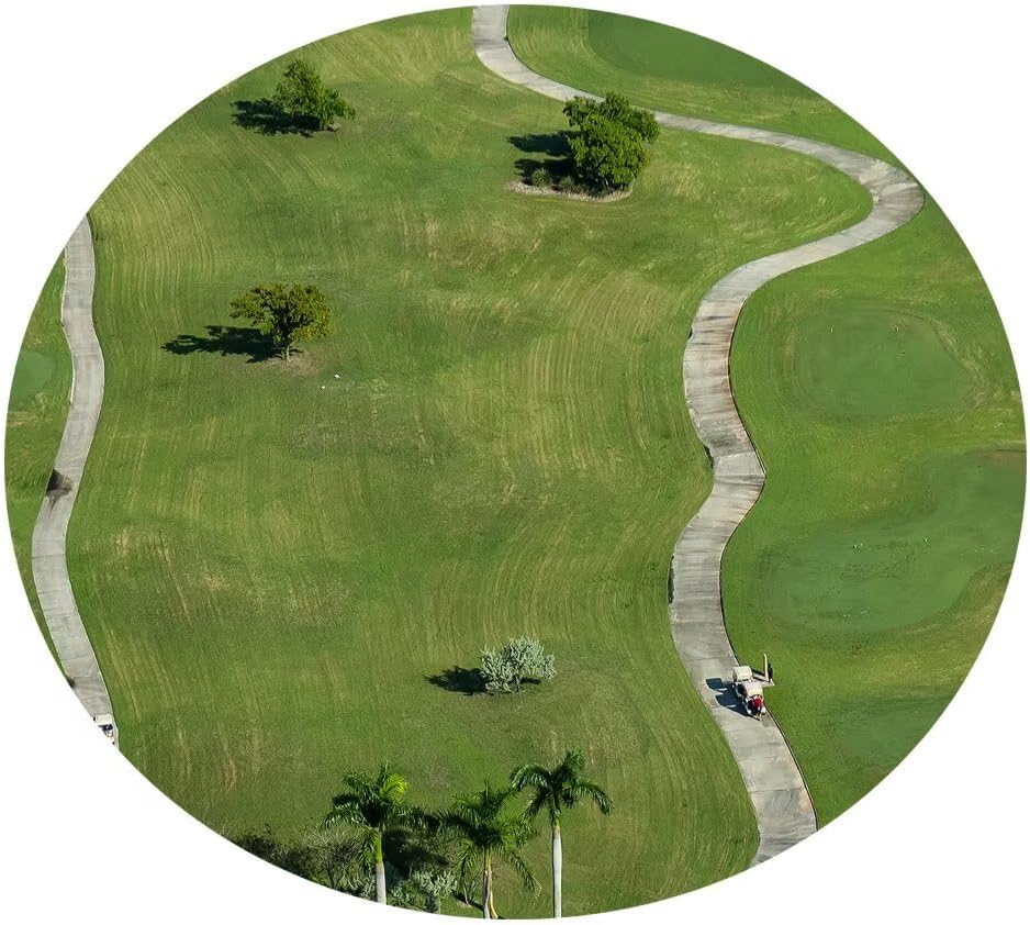 chenchenArt Florida Community Golf Course Wall Art for Living Room Bedroom Bathroom Home Decorations Golf Course Picture Poster Canvas Prints Modern Artwork Framed Ready to Hang(12''H x 16''W)