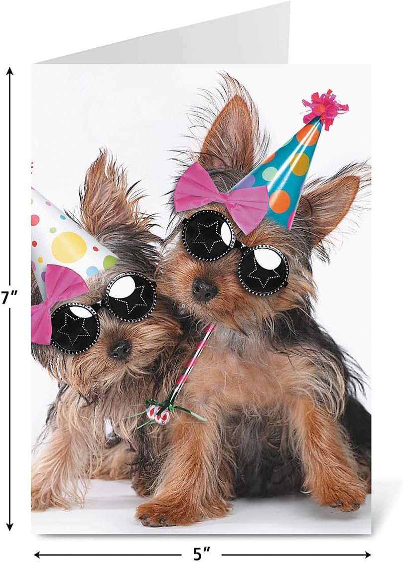 Current Big Bouquet Animal All Occasion Value Pack - 20 Cards With Envelopes, Celebration, Get Well, Sympathy, Birthday, Anniversary & Thinking of You Variety, Large 5" x 7" Assortment, 10 Design Set