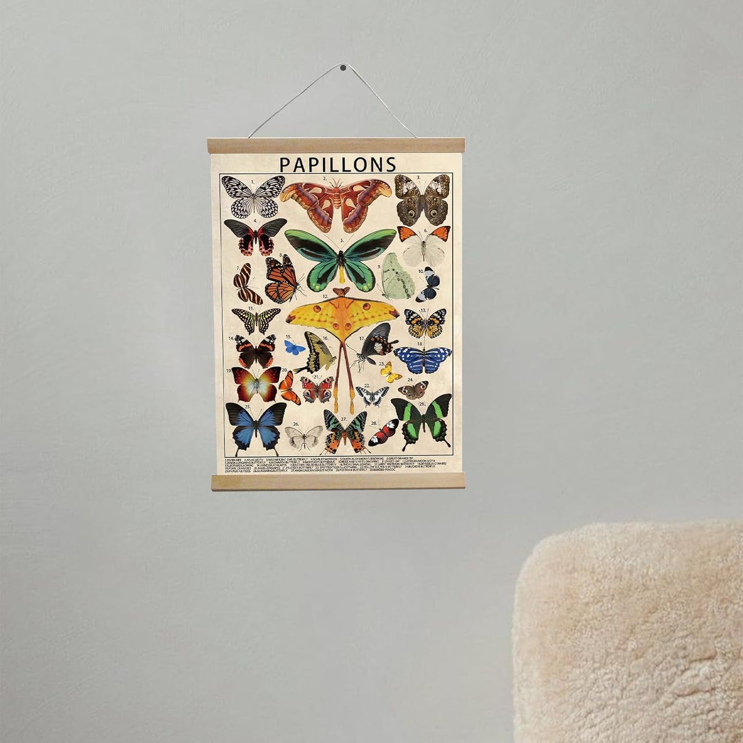 BUPOfromcn Vintage Butterfly Wall Art Decor,Butterfly Wall Hanging 12x16inch Retro Hanging Poster Animal Aesthetic Science Education Office Dorm Bedroom Cool Wall Art Print Poster