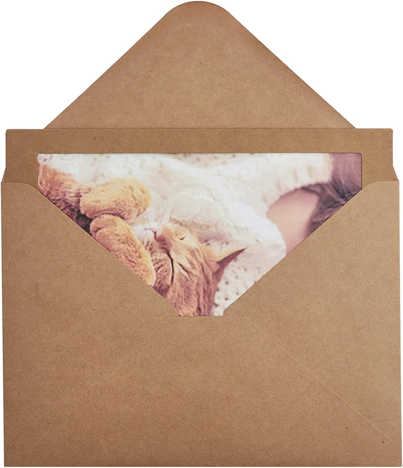 BEST PAPER GREETINGS Kraft Photo Frame Cards - Blank Photo Insert Cards with Envelopes - Durable Kraft Paper Frames - Versatile Greeting Inserts - Pack of 36, Brown, 5.5 x 7.75 In