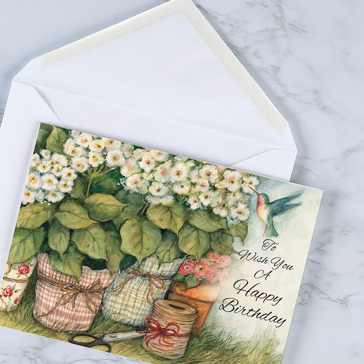 Current Country All Occasion Value Pack - 20 Cards With Envelopes, Celebration, Get Well, Sympathy, Birthday, Anniversary & Thinking of You Variety, Large 5" x 7" Assortment, 10 Design Set