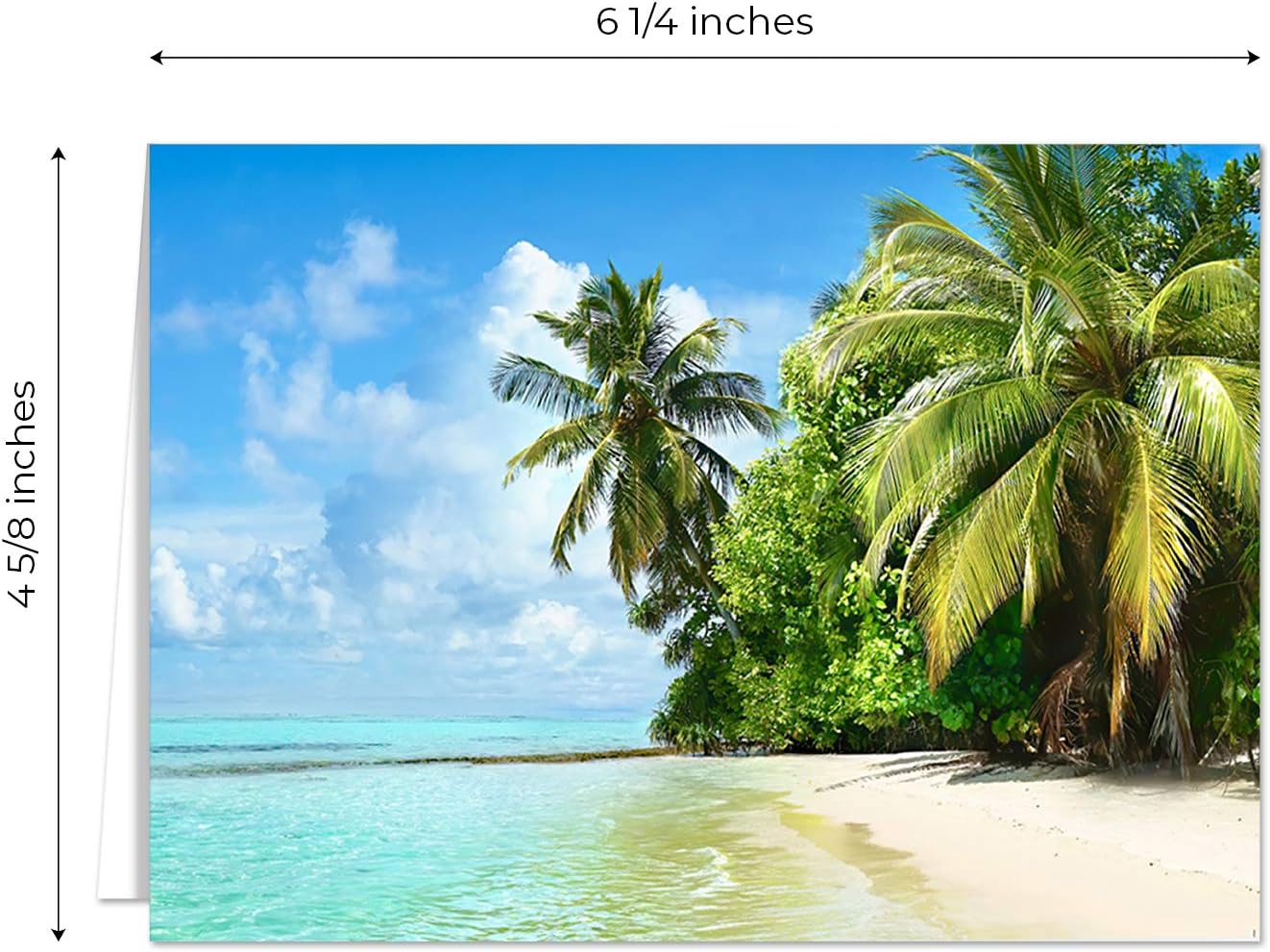 Beautiful Scenery Generic Note Card Pack / 24 Nature Greeting Cards With White Envelopes / 6 Breathtaking Outdoor Scenery Designs / 4 5/8" x 6 1/4" All Occasion Sympathy Cards