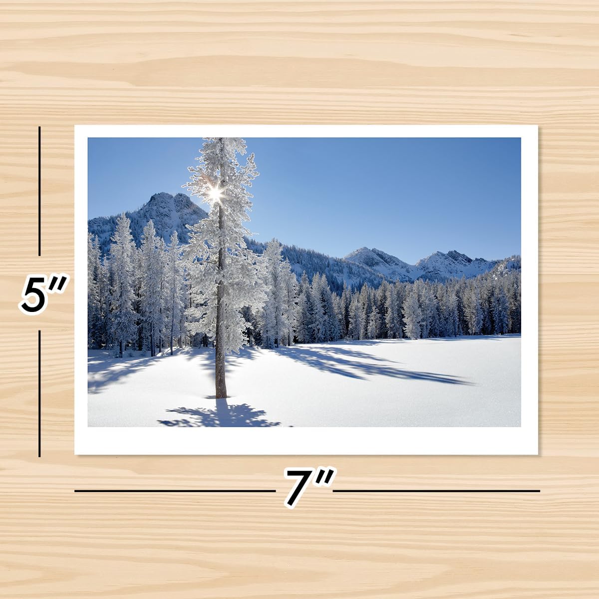 Photographic Happy Holidays Cards, Snowy Trees (6 Cards with White Envelopes)
