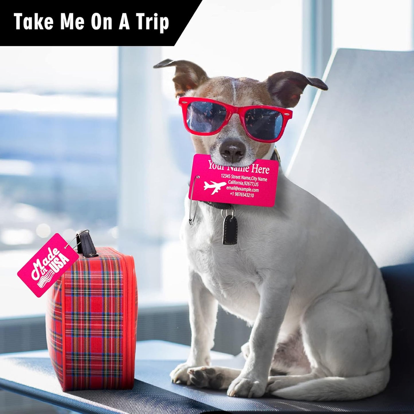 Luggage Tags for Suitcase - Personalized Engraved Metal Tag for Cruise Travel - Custom Name Tags Suitable for Bags and Backpacks(Purple),Horizontal (2x3.5'')