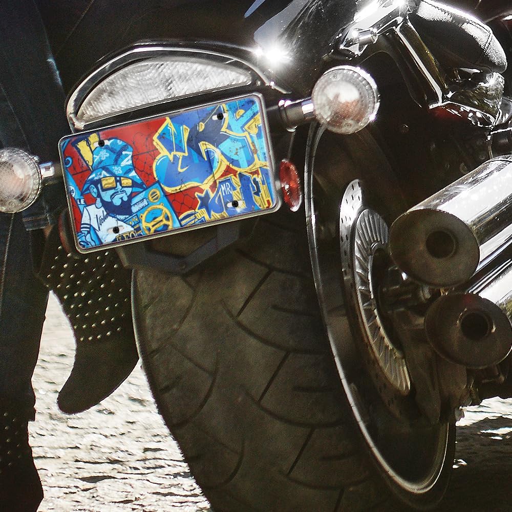 VulgrCo Custom License Plate - UV Printed Personalized License Plate for Car, Truck, SUV, Photo & Logo, Door Plate Cover, Vanity Auto Accessory, 6x12 Inch