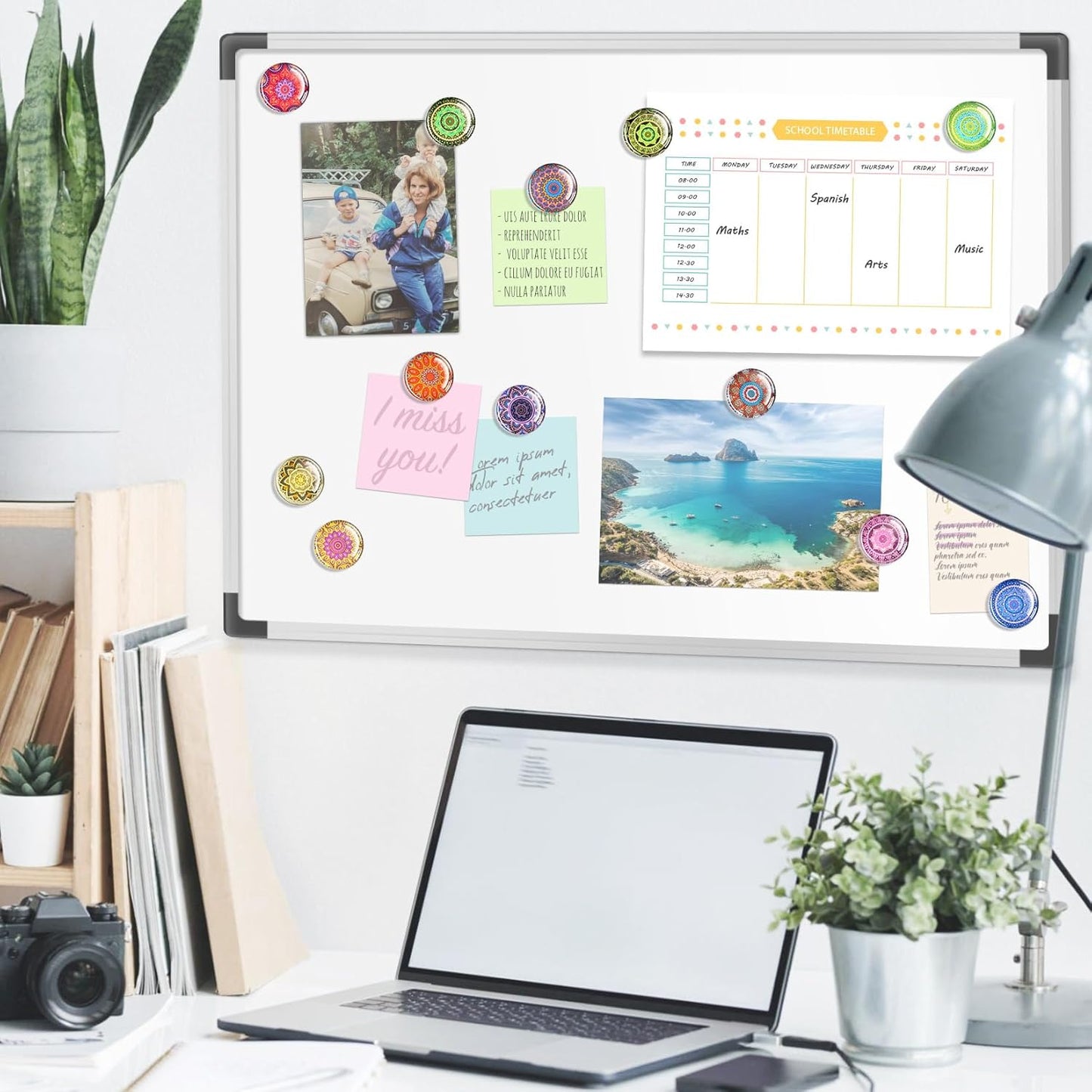 FINDMAG 12 Pcs Glass Fridge Magnets, Cute Fridge Magnet Sticker, Small Magnets for Office, Photo, Cabinet, Locker Accessories and Whiteboard