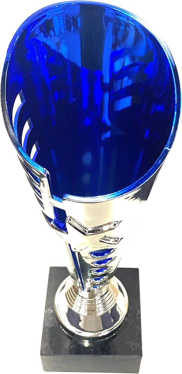 Express Medals Various Styles of Award Trophy Cups Trophies Prize Gift Champion Winner 1st Place