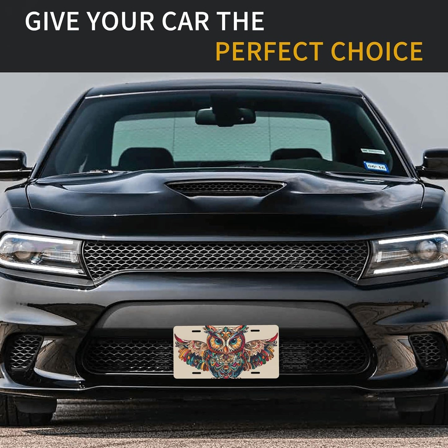 Front License Plate for Car Designs Ethnic Abstract Animals Owl Stainless License Plate Cover Holder for Men Women Metal Aluminum Decorative Accessory Vanity Tag Standard 6 X 12 Inch (4 Holes)