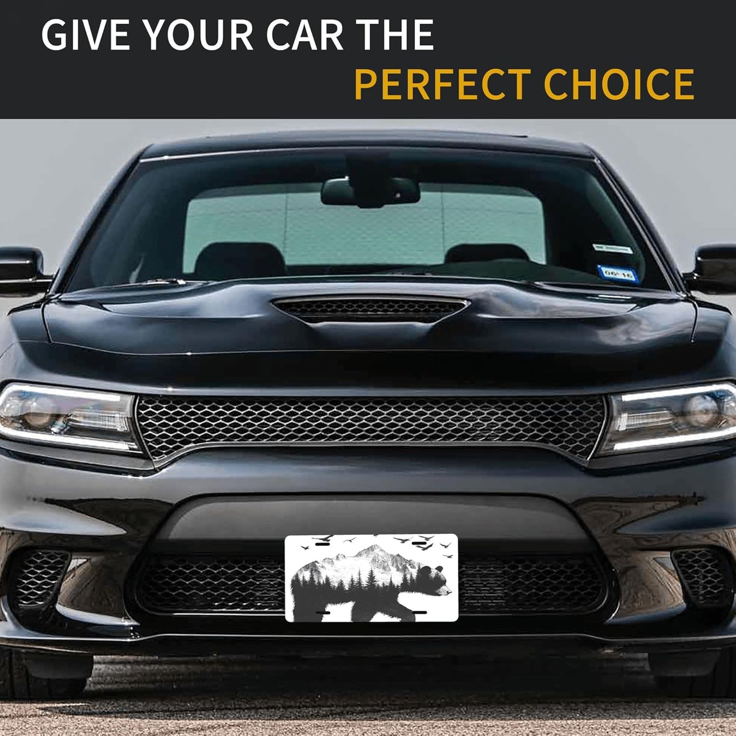 Front License Plate for Car Designs Black Forest Bear Eagle Stainless License Plate Cover Holder for Men Women Metal Aluminum Decorative Accessory Vanity Tag Standard 6 X 12 inch (4 Holes)