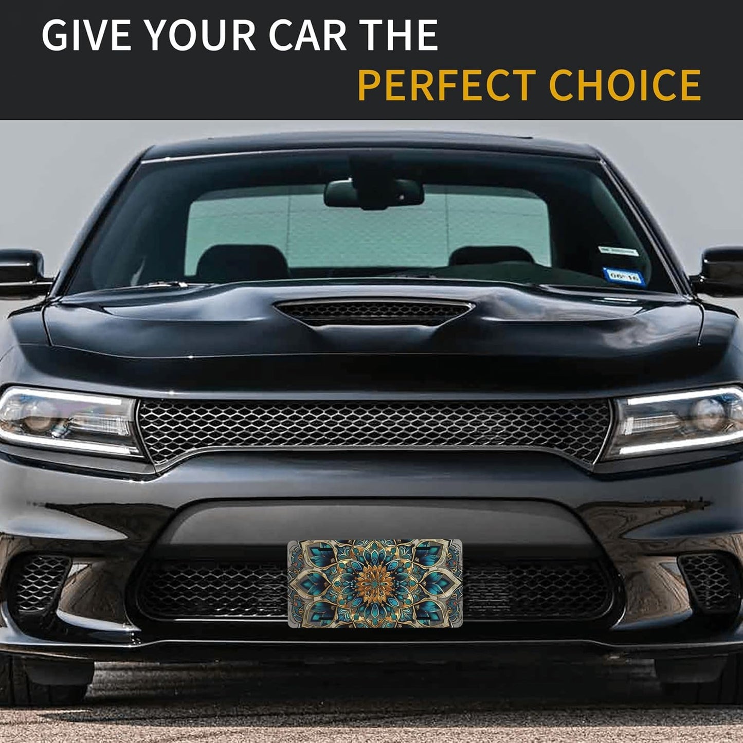 Front License Plate for Car Designs Ethnic Mandala Floral Stainless License Plate Cover Holder for Men Women Metal Aluminum Decorative Accessory Vanity Tag Standard 6 X 12 Inch (4 Holes)