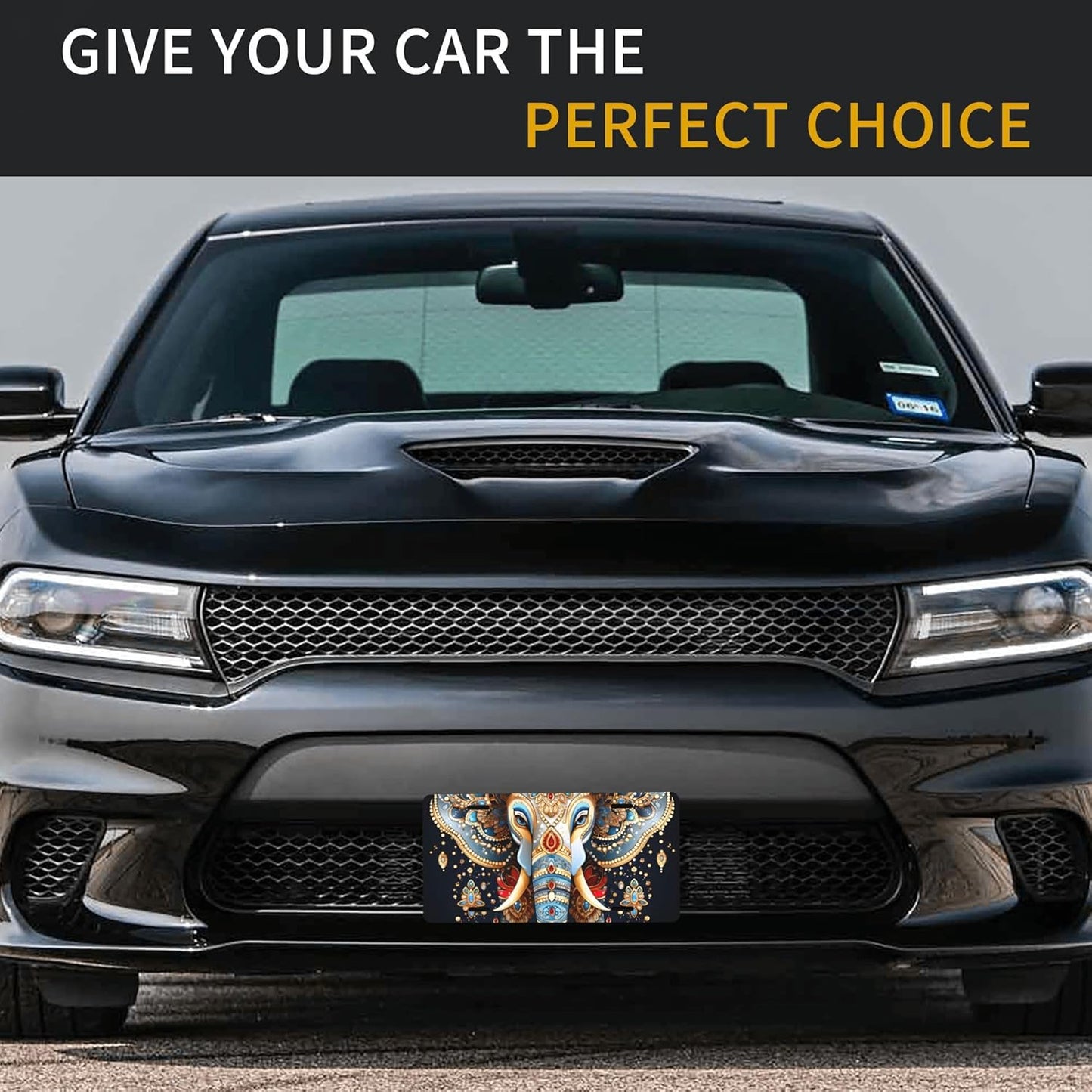 Ethnic Color Animal Elephant Front License Plate for Car Designs Stainless License Plate Cover Holder for Men Women Metal Aluminum Decorative Accessory Vanity Tag Standard 6 X 12 Inch (4 Holes)