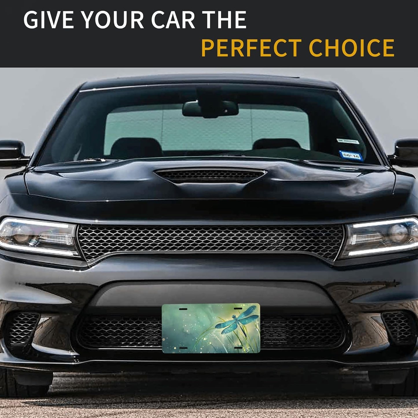 Green Animal Dragonfly Leaf Front License Plate for Car Designs Stainless License Plate Cover Holder for Men Women Metal Aluminum Decorative Accessory Vanity Tag Standard 6 X 12 Inch (4 Holes)