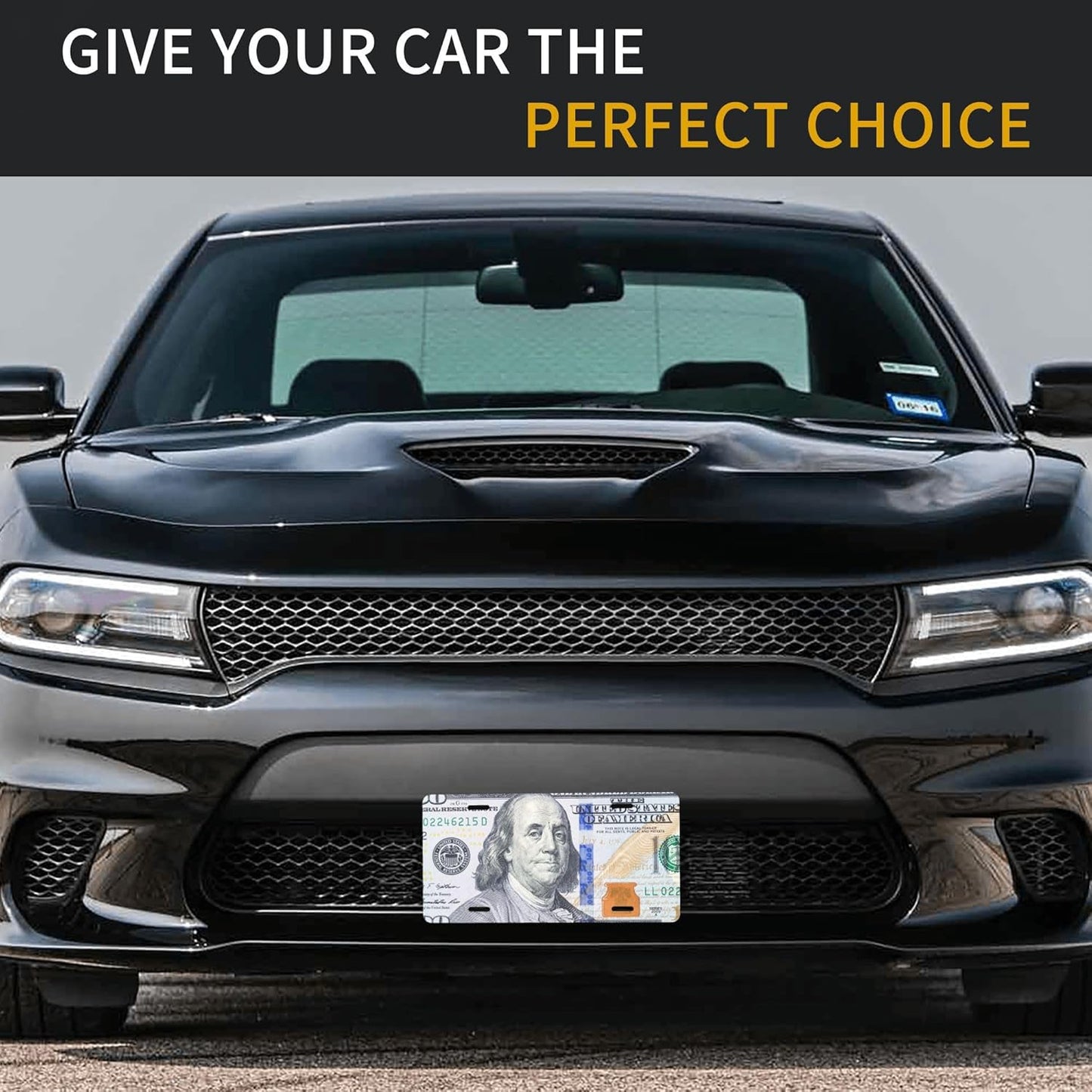 Front License Plate for Car Designs Hundred Dollar Bill Portrait Stainless License Plate Cover Holder for Men Women Metal Aluminum Decorative Accessory Vanity Tag Standard 6 X 12 Inch (4 Holes)