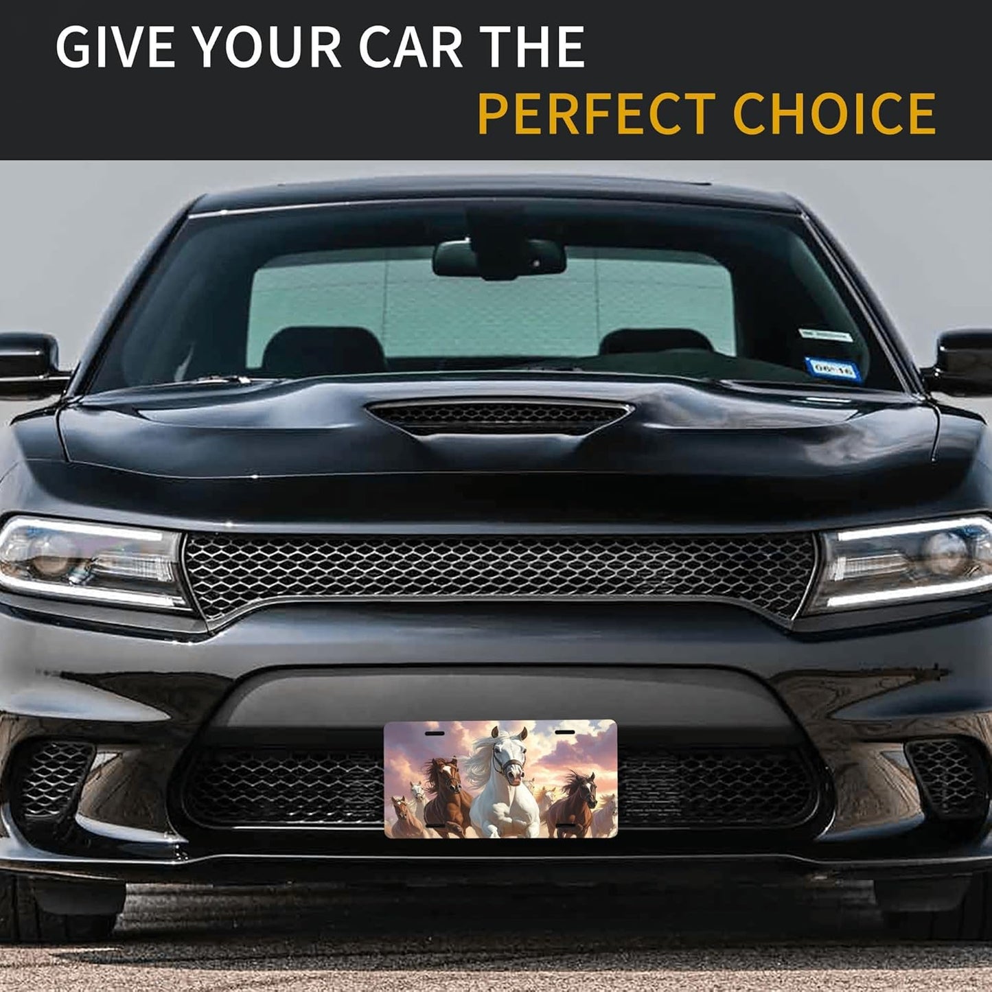 Front License Plate for Car Designs Running Animal Horse Cloud Stainless License Plate Cover Holder for Men Women Metal Aluminum Decorative Accessory Vanity Tag Standard 6 X 12 inch (4 Holes)