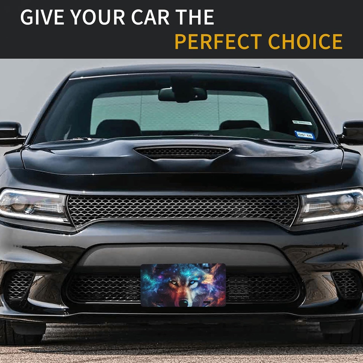 Front License Plate for Car Designs Galaxy Animal Wolf Stainless License Plate Cover Holder for Men Women Metal Aluminum Decorative Accessory Vanity Tag Standard 6 X 12 Inch (4 Holes)