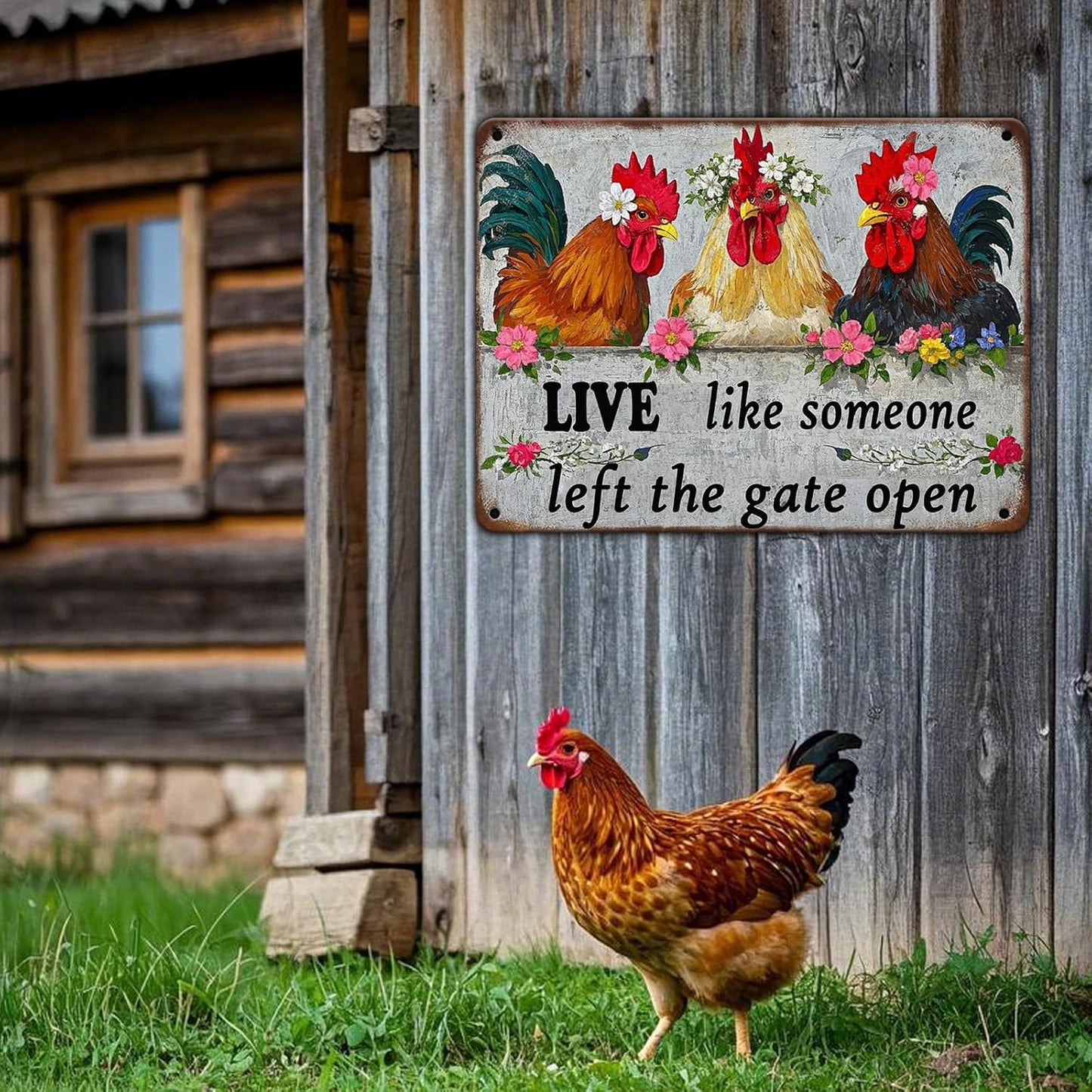 Funny Farmhourse Chicken Coop Metal Tin Signs 12x16 Inch Vintage Chicken Decor Sign Live Like Someone Left The Gate Open Poster Home Kitchen Garden Restaurant Rooster Outdoor Wall Art Decor