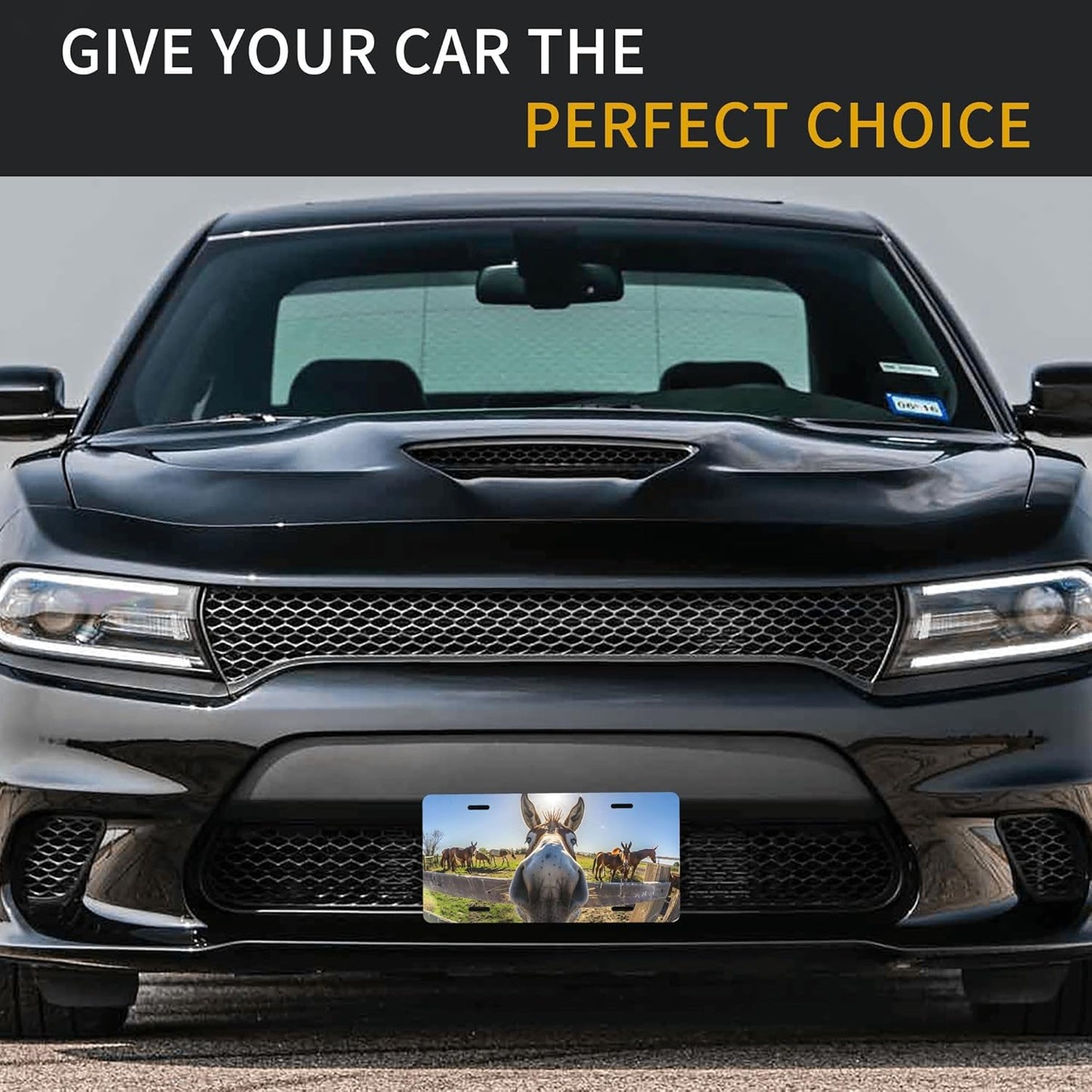 Grass Animal Donkey Countryside Front License Plate for Car Designs Stainless License Plate Cover Holder for Men Women Metal Aluminum Decorative Accessory Vanity Tag Standard 6 X 12 Inch (4 Holes)