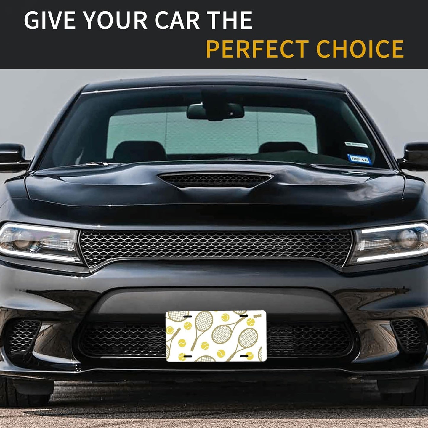 Front License Plate for Car Designs Sports Tennis Racket Ball Stainless License Plate Cover Holder for Men Women Metal Aluminum Decorative Accessory Vanity Tag Standard 6 X 12 Inch (4 Holes)