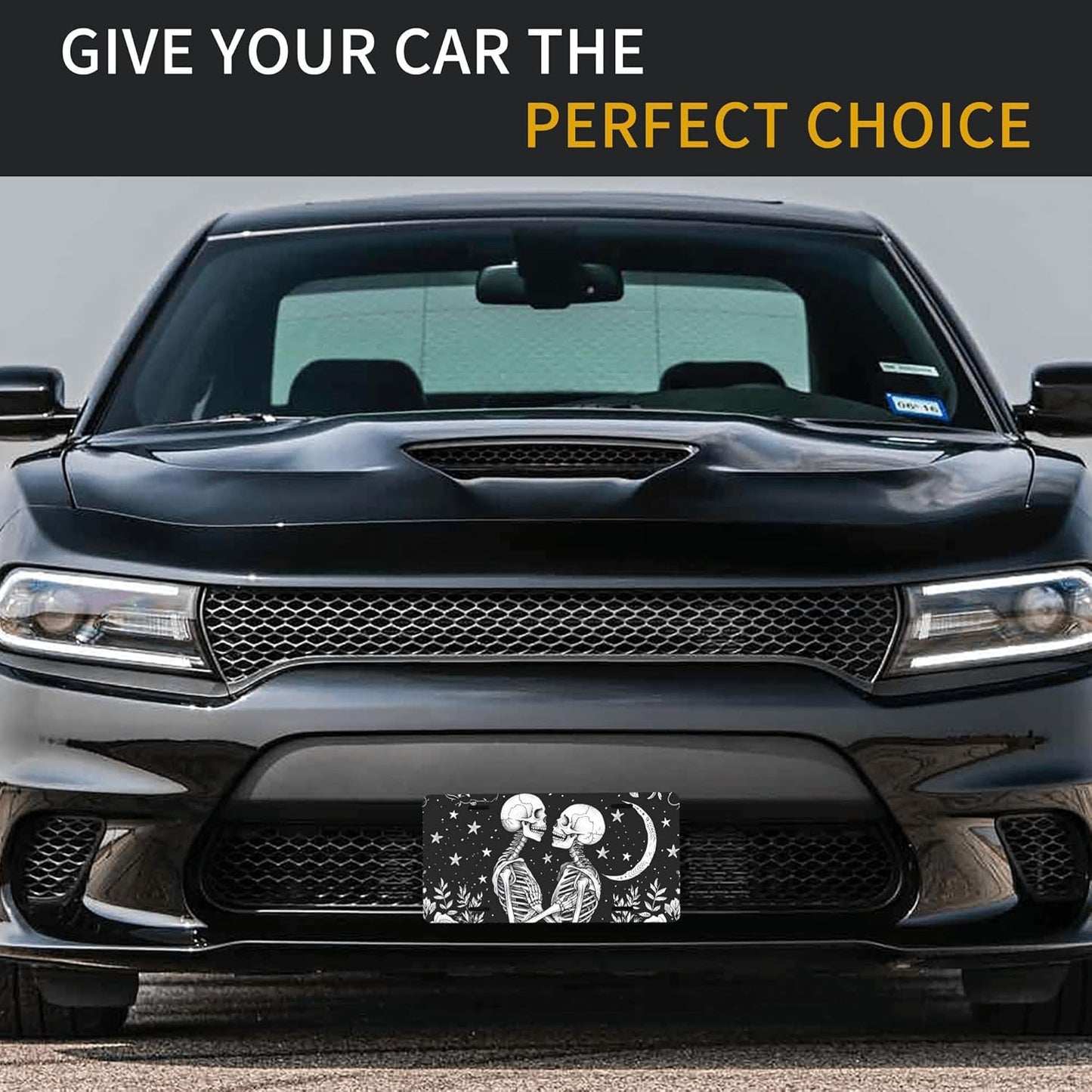 Front License Plate for Car Designs White Skull Flower Galaxy Stainless License Plate Cover Holder for Men Women Metal Aluminum Decorative Accessory Vanity Tag Standard 6 X 12 Inch (4 Holes)