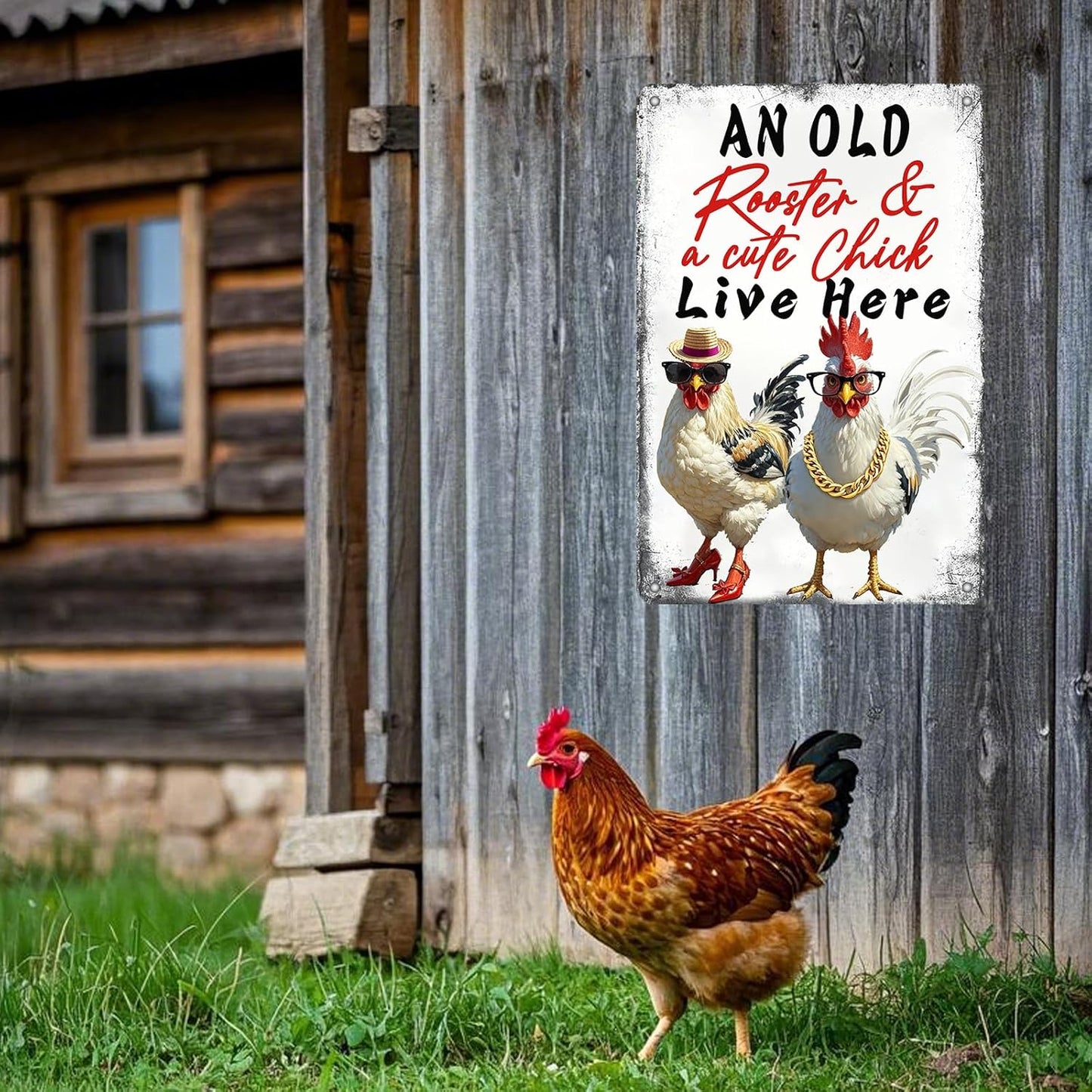 Rooster Decor Chicken Signs For Coop Chicken Coop Accessories Metal Tin Sign Vintage Style An Old Rooster & A Cute Chick Live Here Iron Poster Home Garden Kitchen Wall Decor 12x8 Inch Farmhouse Outdoor Plaque