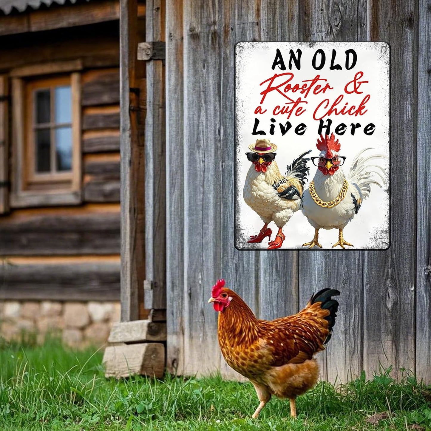 Funny Cute Chicken Coop Accessories Metal Tin Sign Vintage Style An Old Rooster & A Cute Chick Live Here Iron Poster Home Garden Kitchen Wall Decor 12x16 Inch Farmhouse Outdoor Plaque