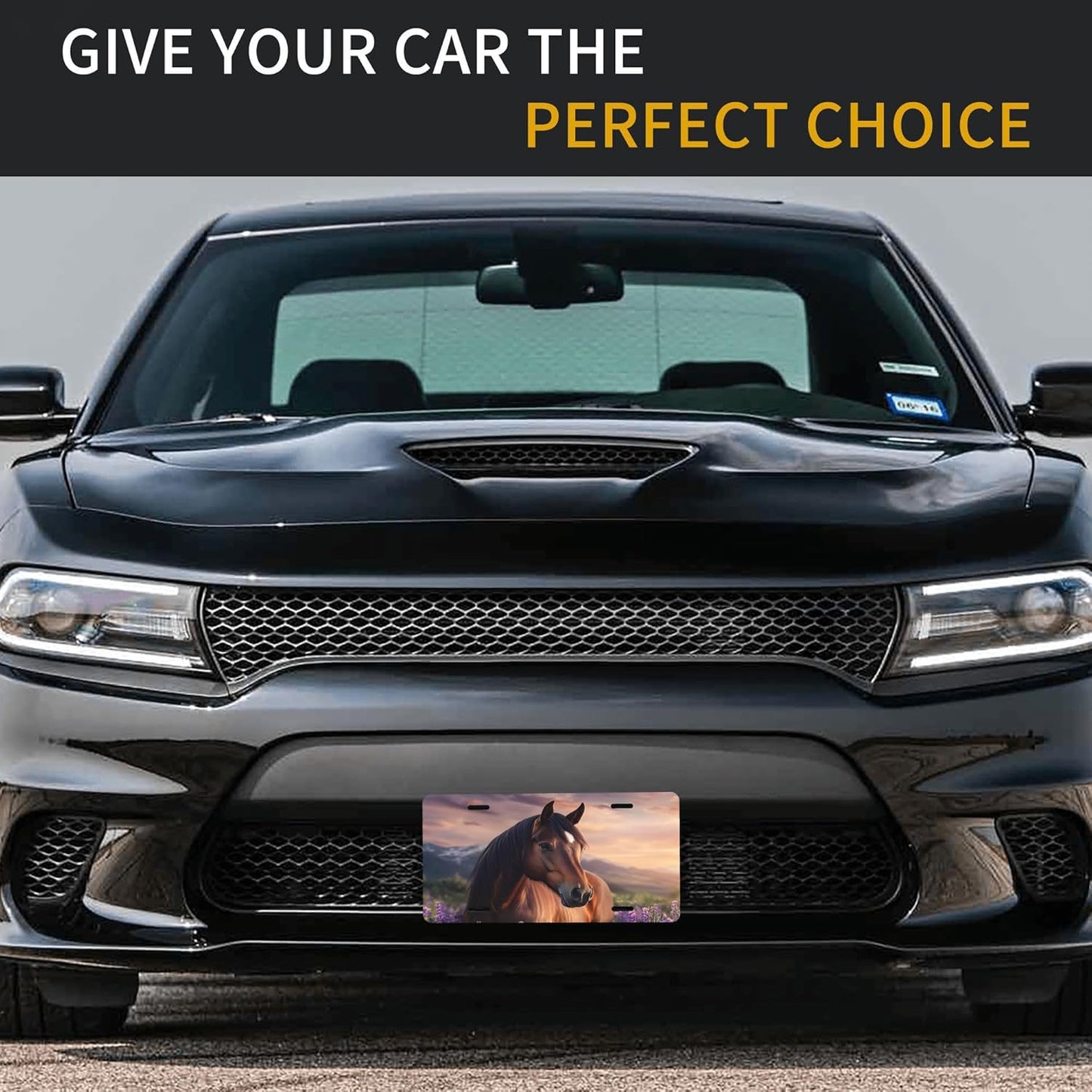 Front License Plate for Car Designs Brown Animal Horse Stainless License Plate Cover Holder for Men Women Metal Aluminum Decorative Accessory Vanity Tag Standard 6 X 12 inch (4 Holes)