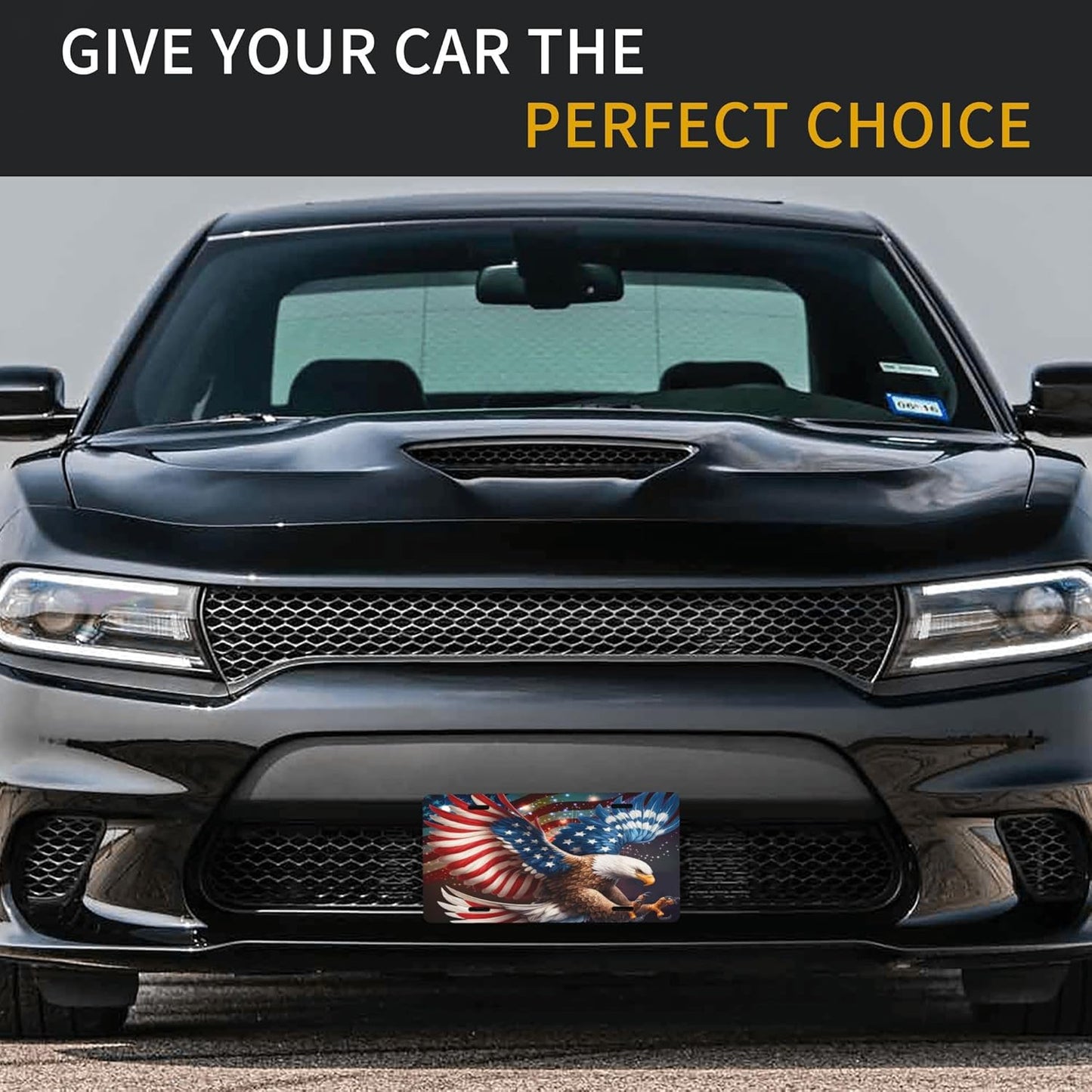 Front License Plate for Car Designs Animal Eagle America USA Stainless License Plate Cover Holder for Men Women Metal Aluminum Decorative Accessory Vanity Tag Standard 6 X 12 inch (4 Holes)