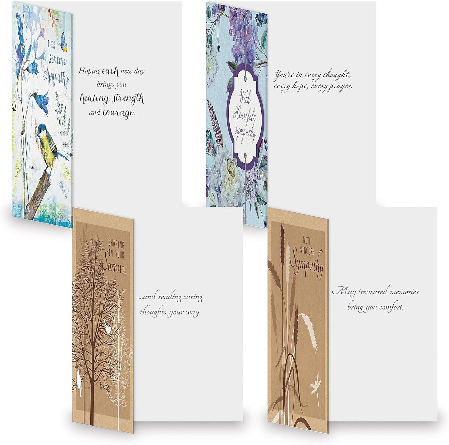 Current Modern Messages All Occasion Value Pack With Seals-40 Cards & Envelopes, Celebration, Get Well, Sympathy, Birthday, Holiday, & Thinking of You Variety, Large 5" x 7" Assortment, 20 Design Set