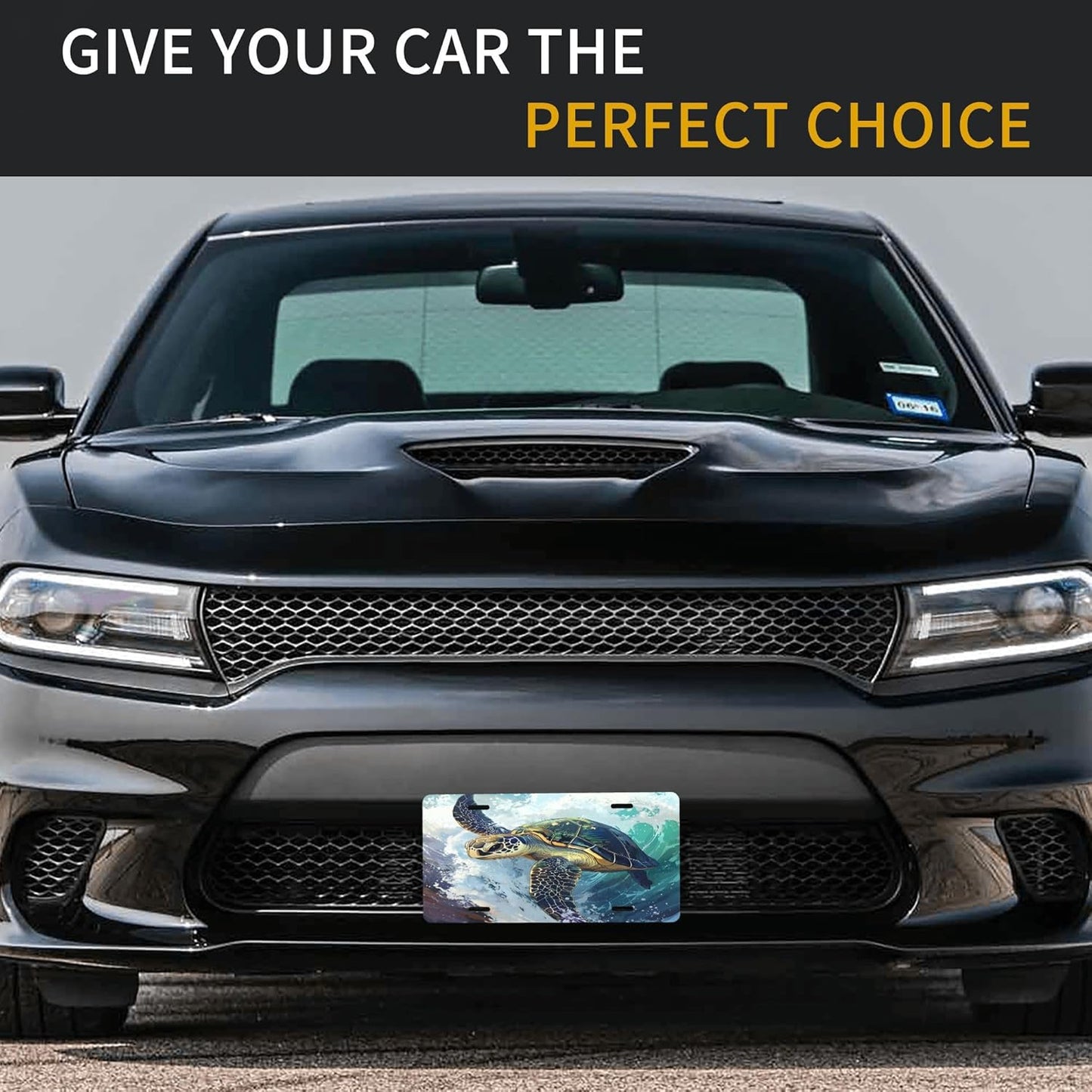 Custom License Plate Personalized Ocean Turtle Funny Aluminum Front License Plates Decorative Rust-Free Metal Car Plate Covers for Women Men Car Tag Accessories fit Truck SUV Rv 12 X 6 in