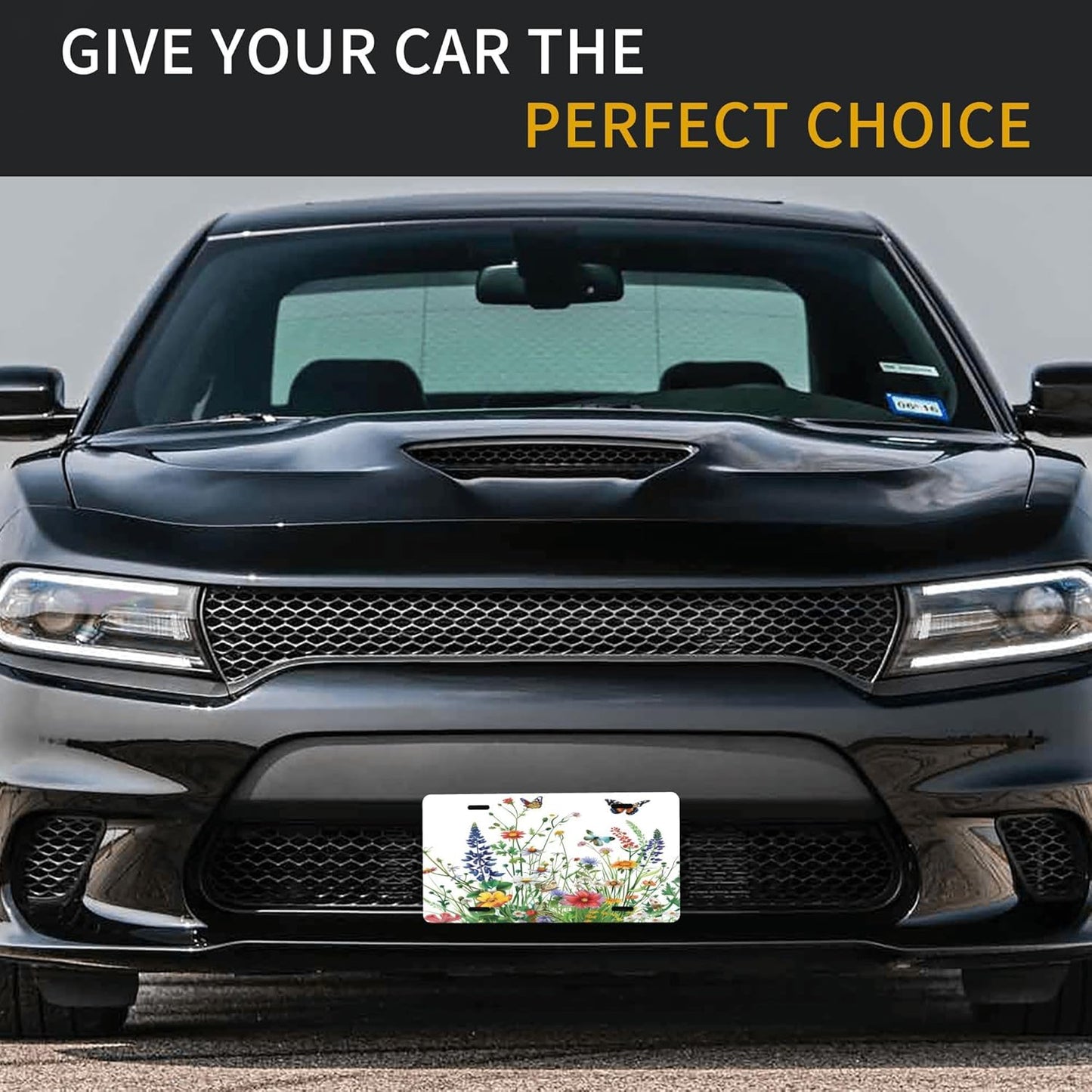 Custom Front License Plate for Car Designs Personalized Flower Stainless License Plate Cover Holder for Men Women Metal Aluminum Decorative Accessory Vanity Tag Standard 6 X 12 inch (4 Holes)