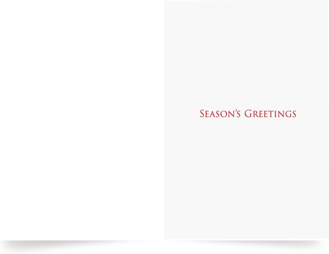 Photographic Season’s Greetings Cards, Northern Cardinals (6 Cards with White Envelopes)