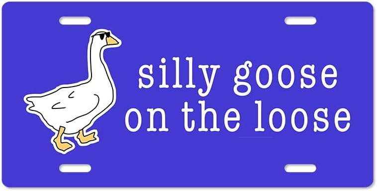 Unique Vanity License Plates | 16 Individual Designs | 3 Sizes (Automobile, Golf Cart, Motorcycle/Bike) | Made in U.S.A. | Custom Car Tags (Silly Goose, Motorcycle/Bike (6" x 3"))