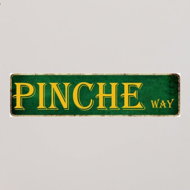 Man Cave Decor Pinche Way Street Tin Sign - Mexican Dad Gifts, Funny Signs, Metal Bar Wall Art, Accessories, Garage Decor for Men - 4x16 Inch