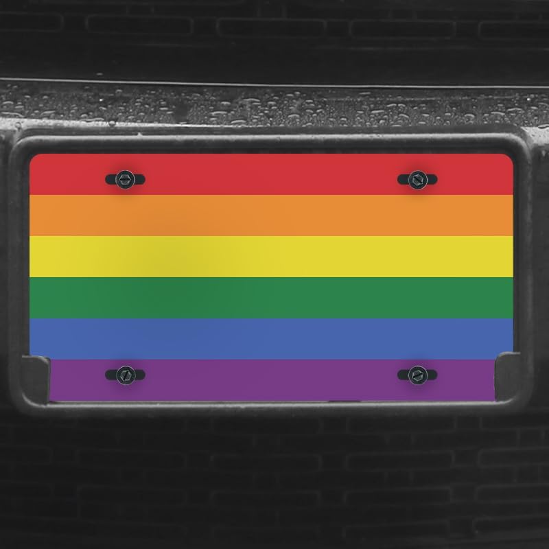 Unique Vanity License Plates | 16 Individual Designs | 3 Sizes (Automobile, Golf Cart, Motorcycle/Bike) | Made in U.S.A. | Custom Car Tags (Pride, Standard (12" x 6"))