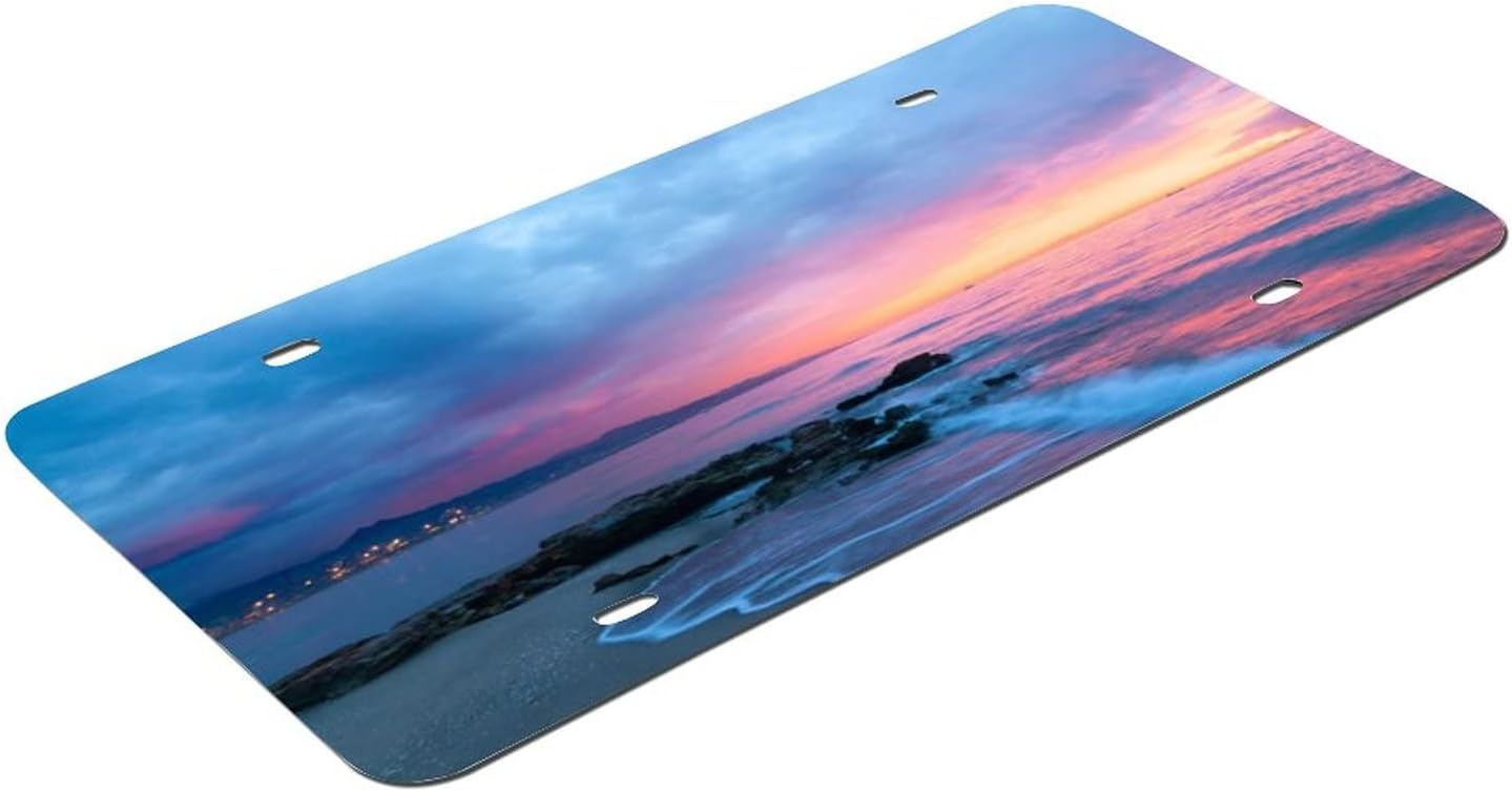 Metal Automotive License Plate, Custom Personalized Text Logo Image Photo Design Work,Customized Tag Aluminum License Plates for Front of Car - 2 or 4 Holes - US/Canada Size 12x6 inches