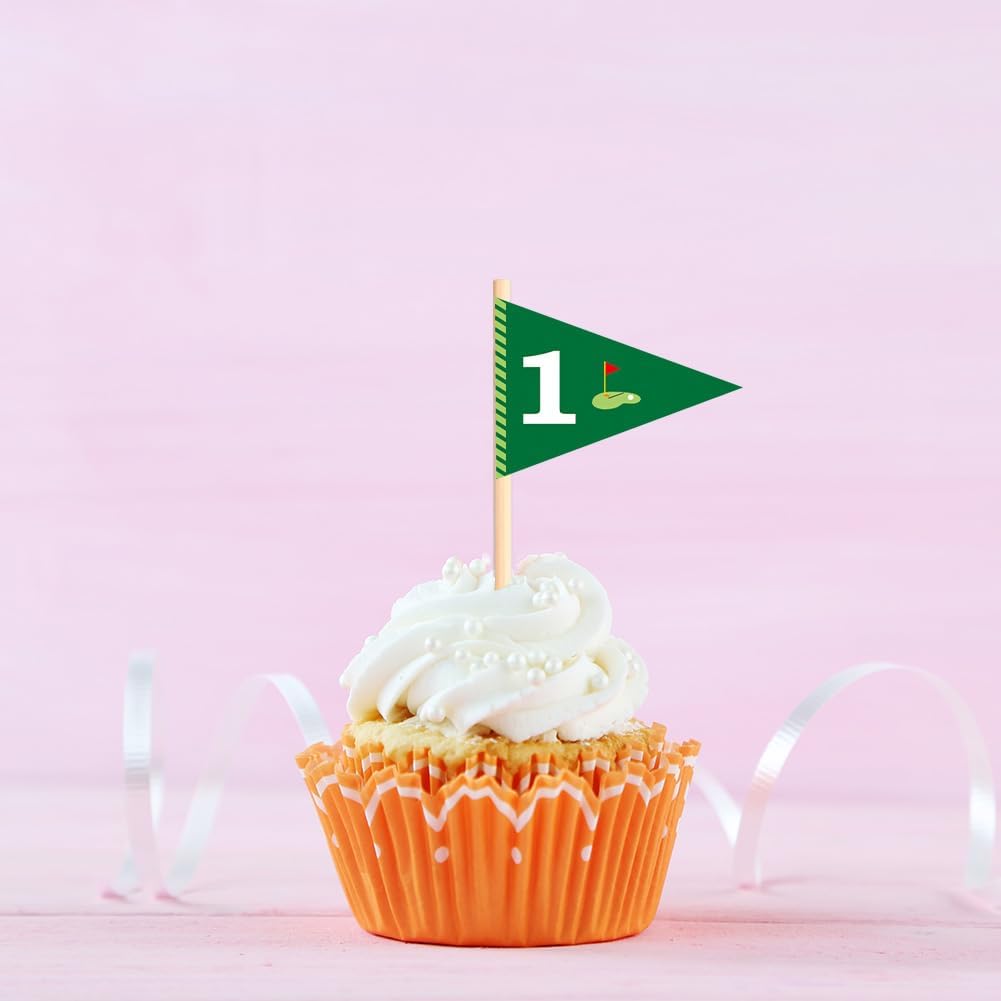 Golf Themed Toothpick Flags, 20 PCS Hole In One 1st Birthday Golf Cocktail Picks Mini Stick Cupcake Toppers Flags for Baby 1st Birthday Party Food Bar Decorations (Hole In 1)