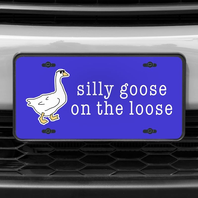 Unique Vanity License Plates | 16 Individual Designs | 3 Sizes (Automobile, Golf Cart, Motorcycle/Bike) | Made in U.S.A. | Custom Car Tags (Silly Goose, Motorcycle/Bike (6" x 3"))