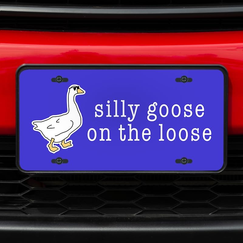 Unique Vanity License Plates | 16 Individual Designs | 3 Sizes (Automobile, Golf Cart, Motorcycle/Bike) | Made in U.S.A. | Custom Car Tags (Silly Goose, Standard (12" x 6"))
