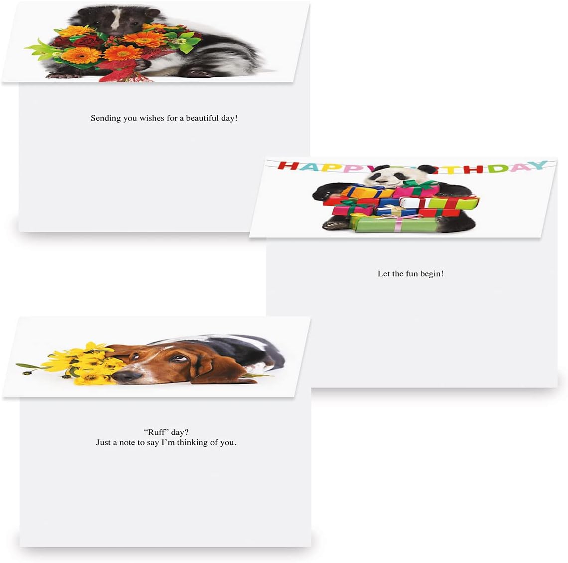 Current Big Bouquet Animal All Occasion Value Pack - 20 Cards With Envelopes, Celebration, Get Well, Sympathy, Birthday, Anniversary & Thinking of You Variety, Large 5" x 7" Assortment, 10 Design Set