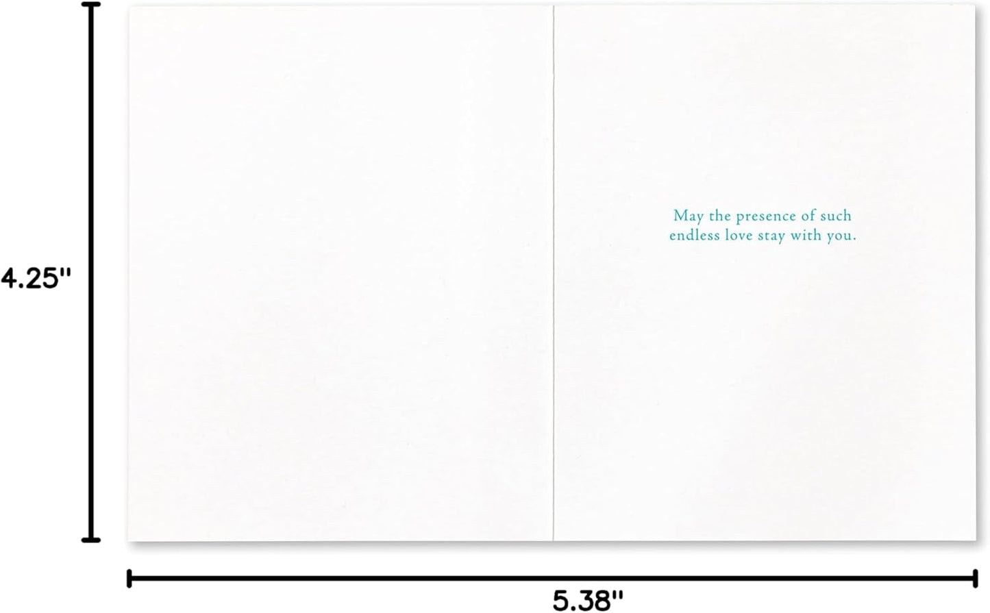 Compendium Positively Green 4-Pack of Sympathy Cards - Assorted Designs, 5.38 in x 4.25 in