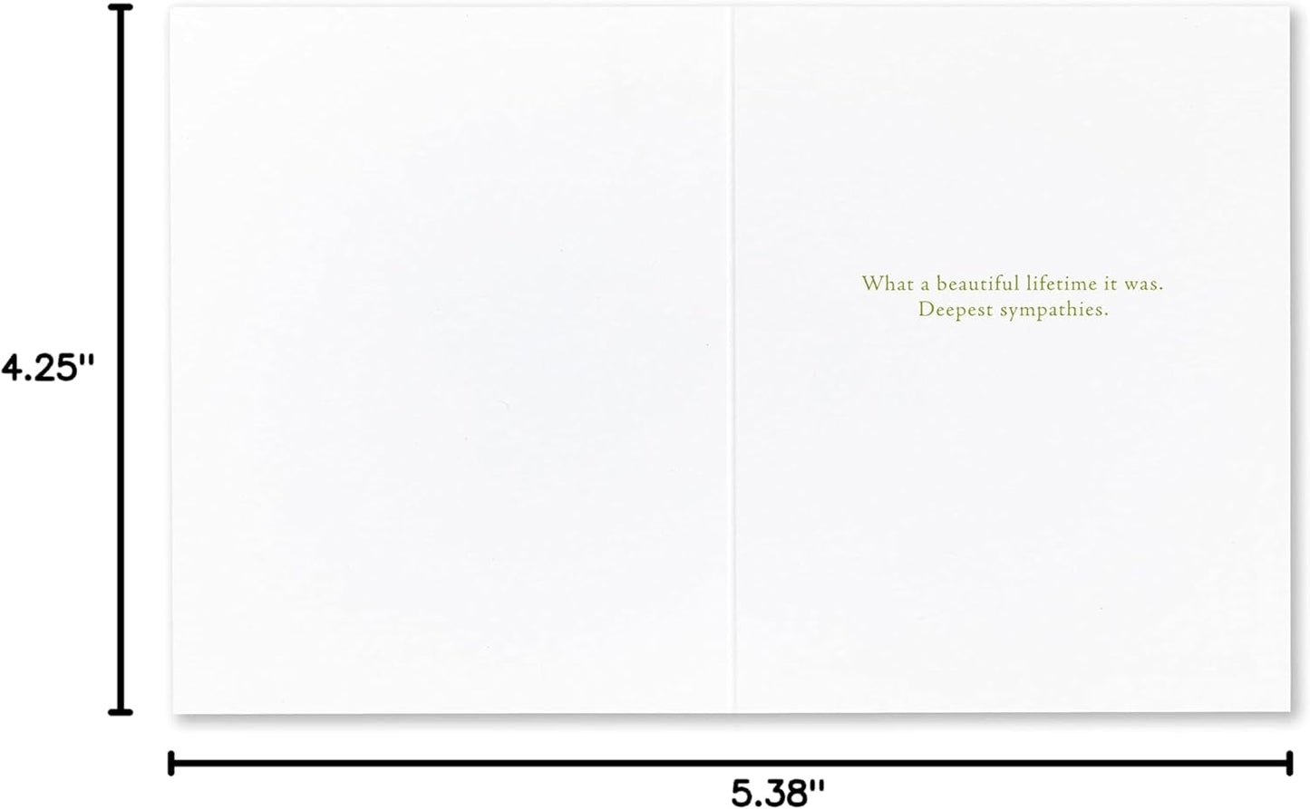 Compendium Positively Green 4-Pack of Pet Sympathy Cards – Assorted (Four Different Designs, One Card Each, with Envelopes)