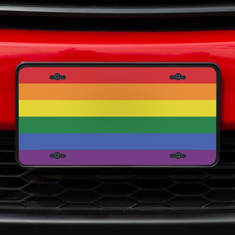 Unique Vanity License Plates | 16 Individual Designs | 3 Sizes (Automobile, Golf Cart, Motorcycle/Bike) | Made in U.S.A. | Custom Car Tags (Pride, Standard (12" x 6"))