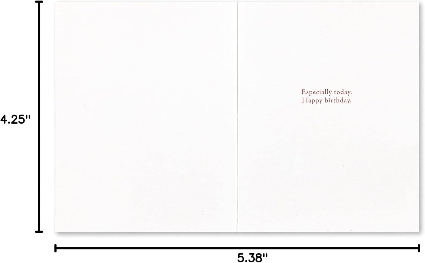 Compendium Positively Green 4-Pack of Birthday Cards – Nature (Four Different Designs, One Card Each, with Envelopes)