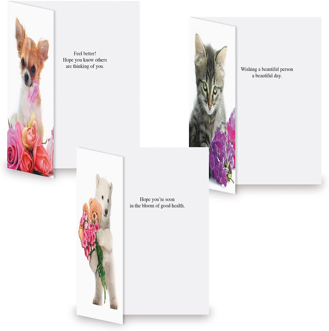 Current Big Bouquet Animal All Occasion Value Pack - 20 Cards With Envelopes, Celebration, Get Well, Sympathy, Birthday, Anniversary & Thinking of You Variety, Large 5" x 7" Assortment, 10 Design Set