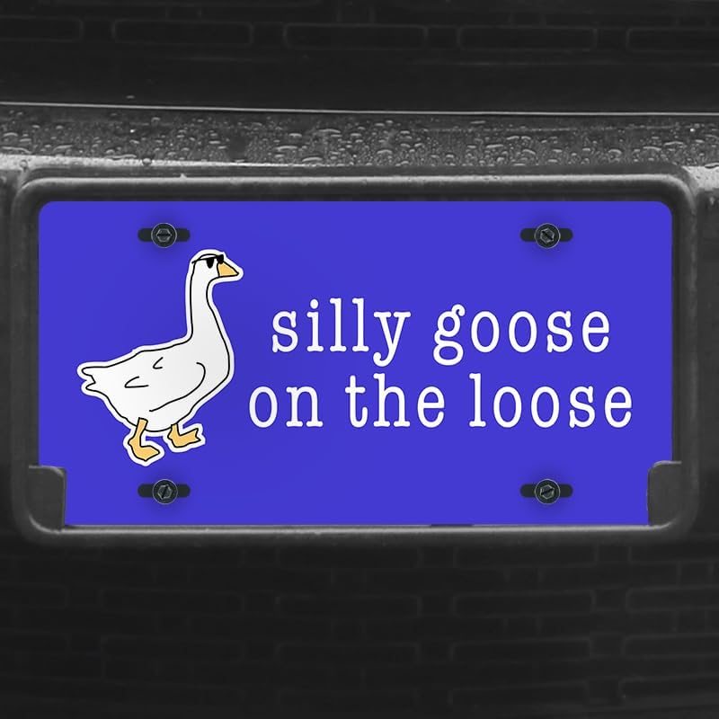 Unique Vanity License Plates | 16 Individual Designs | 3 Sizes (Automobile, Golf Cart, Motorcycle/Bike) | Made in U.S.A. | Custom Car Tags (Silly Goose, Golf Cart (7" x 4"))